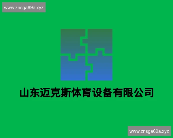 山东迈克斯体育设备有限公司